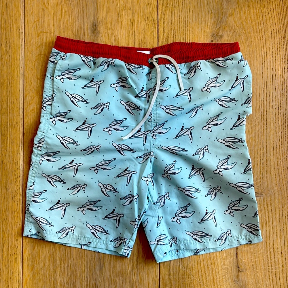 Light Turquoise Turtle Bathing Shorts
